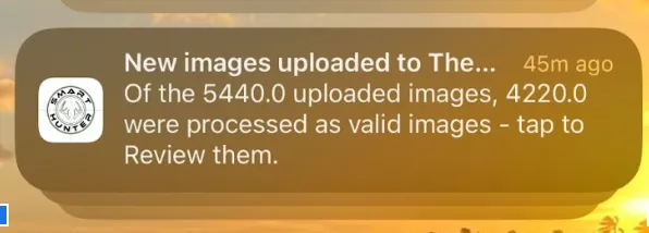 User mobile notification